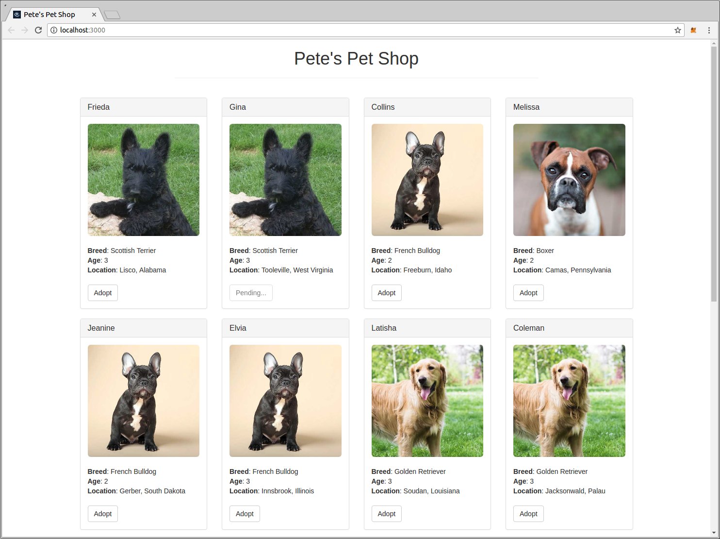 The Completed Pet Shop Dapp
