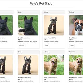 Learn Ethereum The Fun Way with our Pet Shop Tutorial